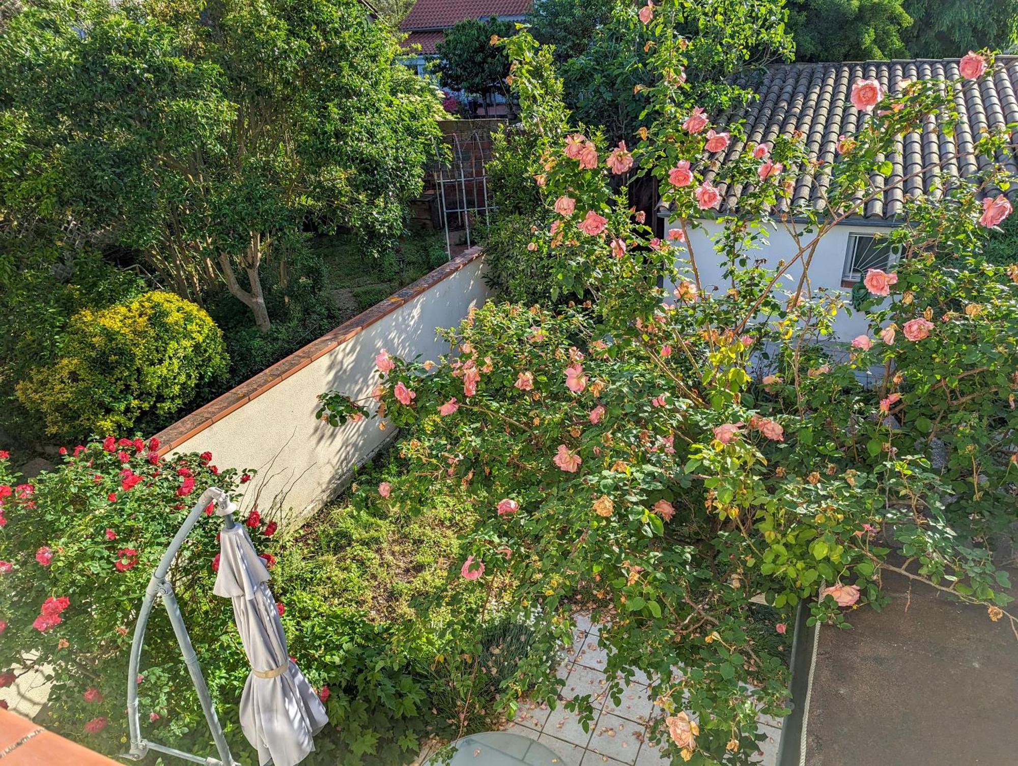 La Maison Calme Et Lumineuse Avec Jardin Тулуза Екстериор снимка